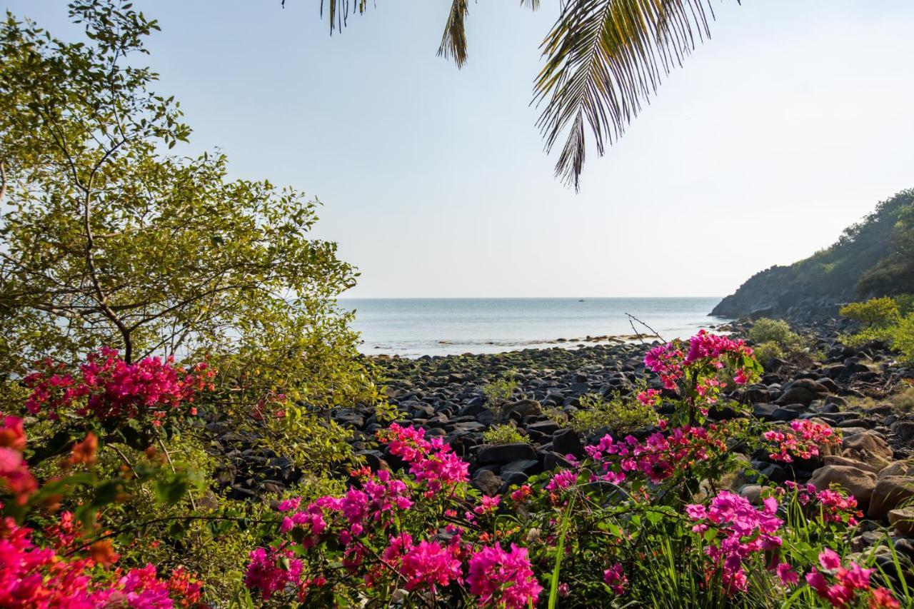 Resort Casa Jaali *